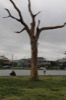 resIMG_20170402_125746_7094.JPG